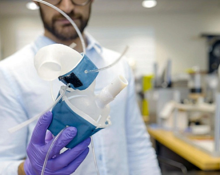 Исследователи научились печатать копии сердца на 3D-принтере
