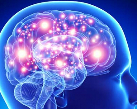 Казанские ученые смогли искусственно соединить клетки мозга