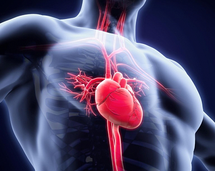 Unique nanoparticles will be used for ischemic heart disease treatment